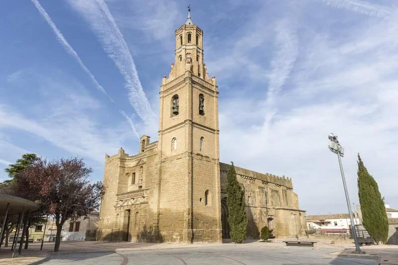 Vista de Ejea de los Caballeros