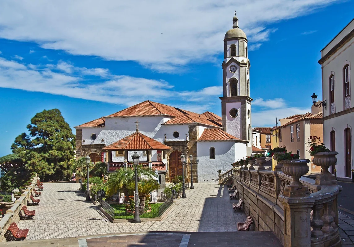 Vista de Los Realejos