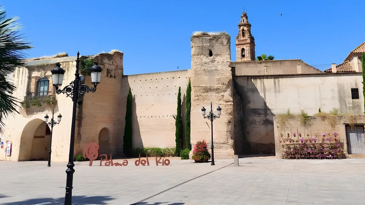 Vista de Palma del Río