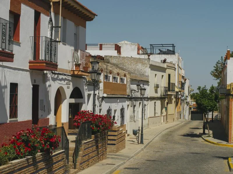 Vista de Palomares del Río