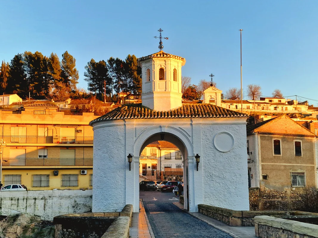 Vista de Pinos Puente