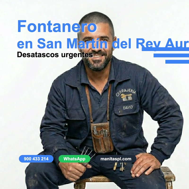 Fontanero en San Martín del Rey Aurelio